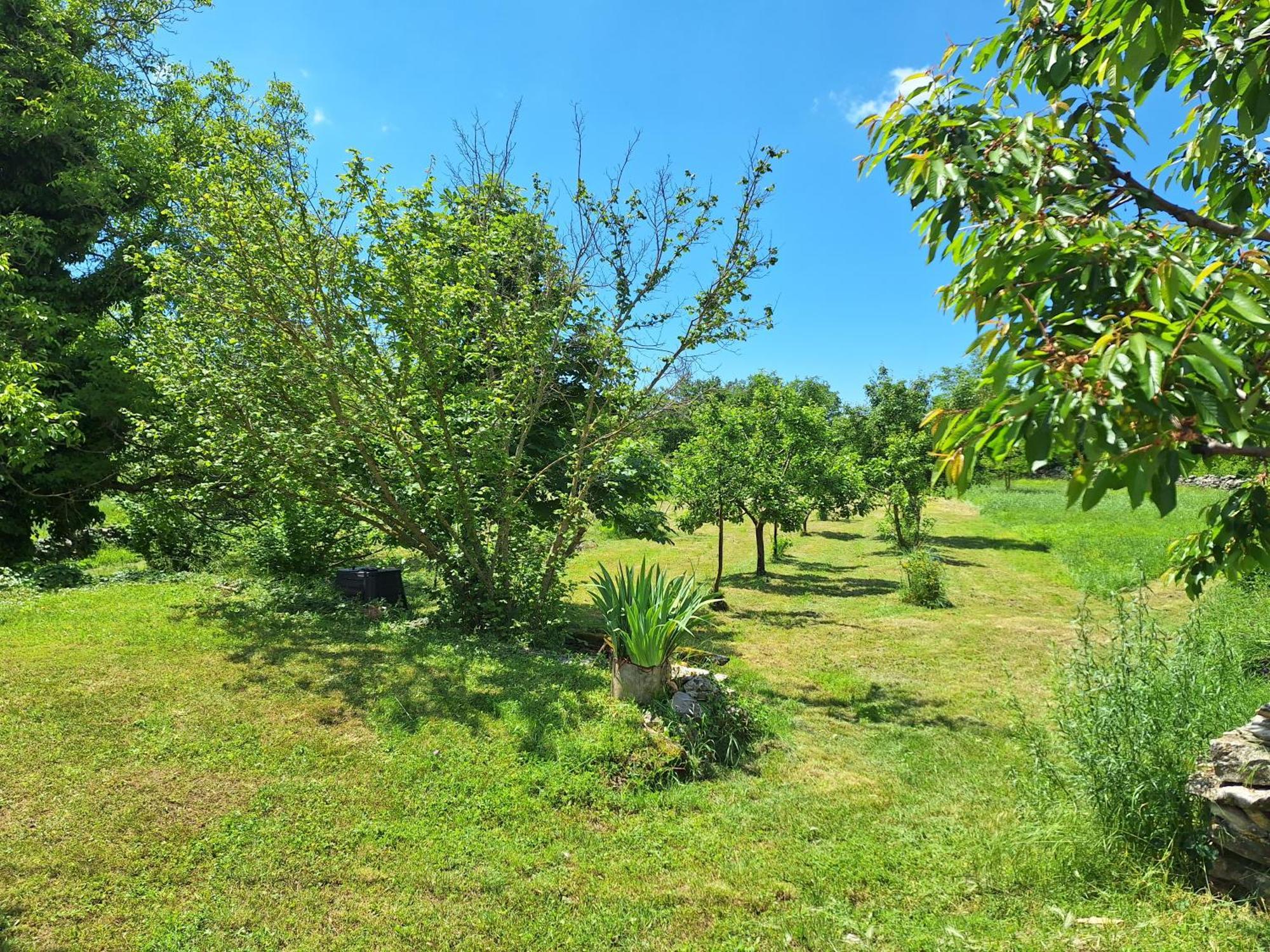 Villa Malini Grožnjan Esterno foto