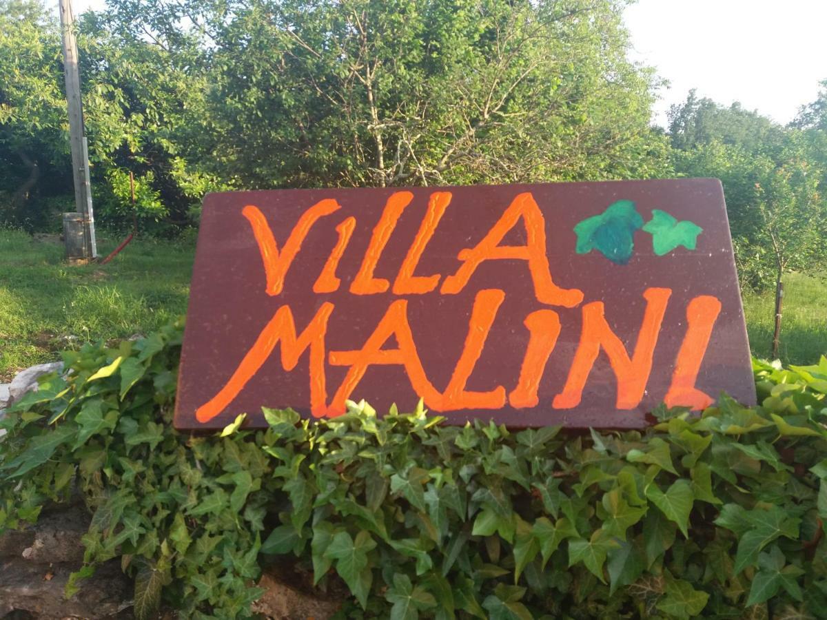 Villa Malini Grožnjan Esterno foto
